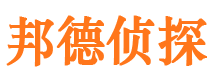 元宝市侦探公司